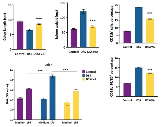 Valeric acid alleviates inflammation in ulcerative colitis model